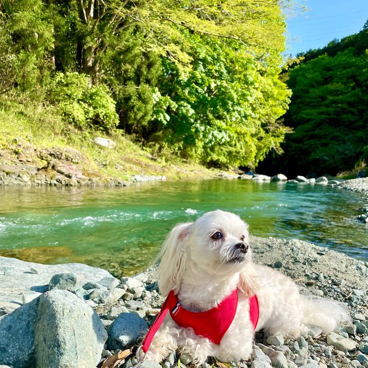 E6f982f4 7e52 4ca6 bbd1 3beff76e95e2 1620097368649