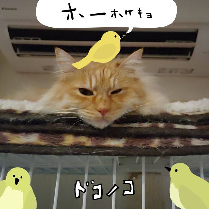 E6f98347 e58b 4aaa 8524 1dc9ec213ca2 1711001091486