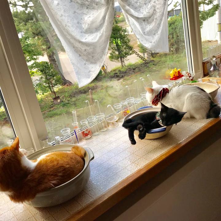 E6f99925 1690 4a5c 82c8 e8473afe4e6d 1565822515399