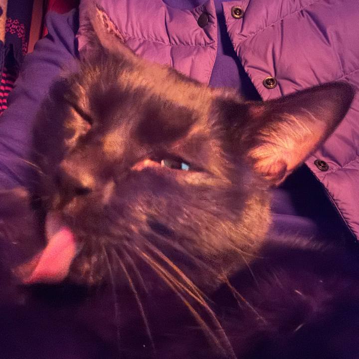 E6f9ada1 7615 4c52 aa59 ebe4cf9f0363 1735383733039