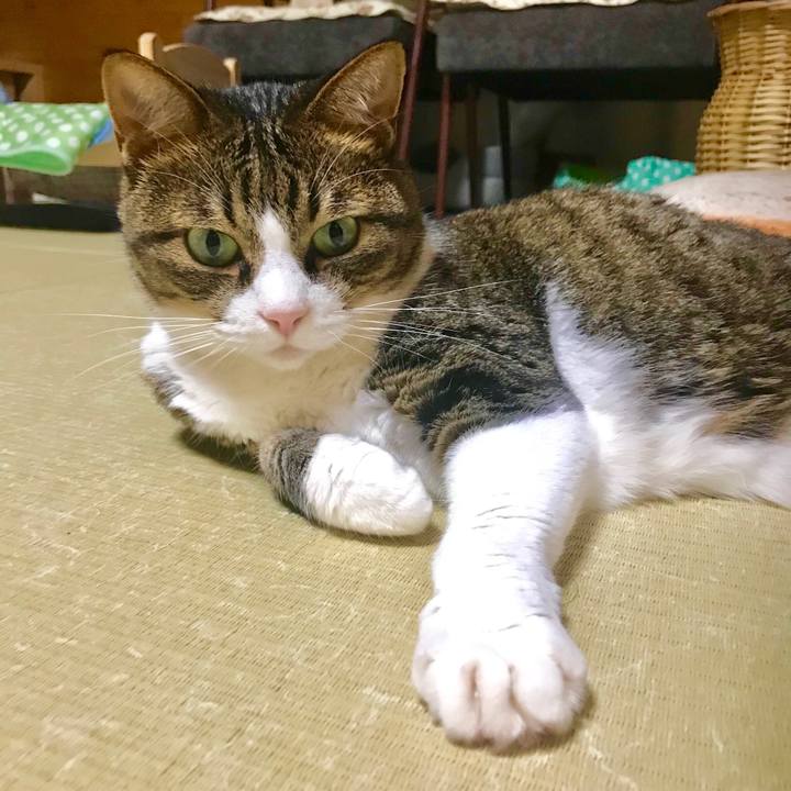 E6f9c70d b82e 4ae9 aa0b 750533759d4f 1533469346057