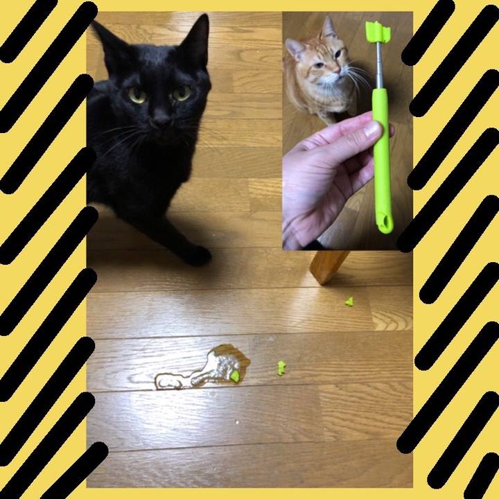 E6f9c8d4 7fa6 4676 a949 a170466e037c 1666176234762