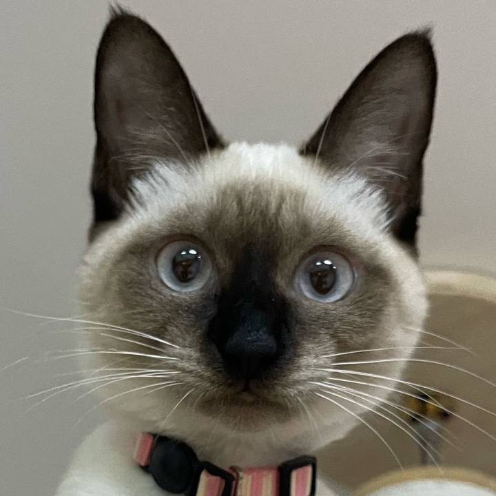 E6f9f089 4139 4350 b1e0 e22f44f49c9c 1696188602833