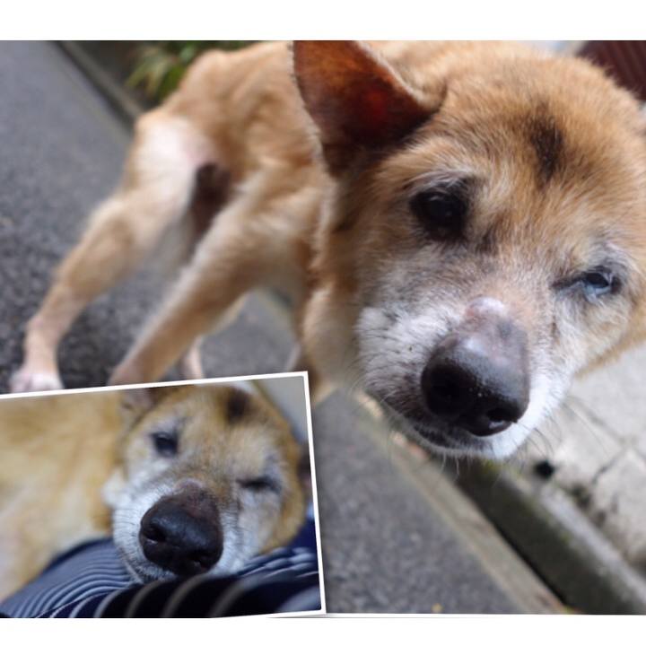 E6fa54f5 c2b3 49b8 afd0 a06ce419413d 1568847651938