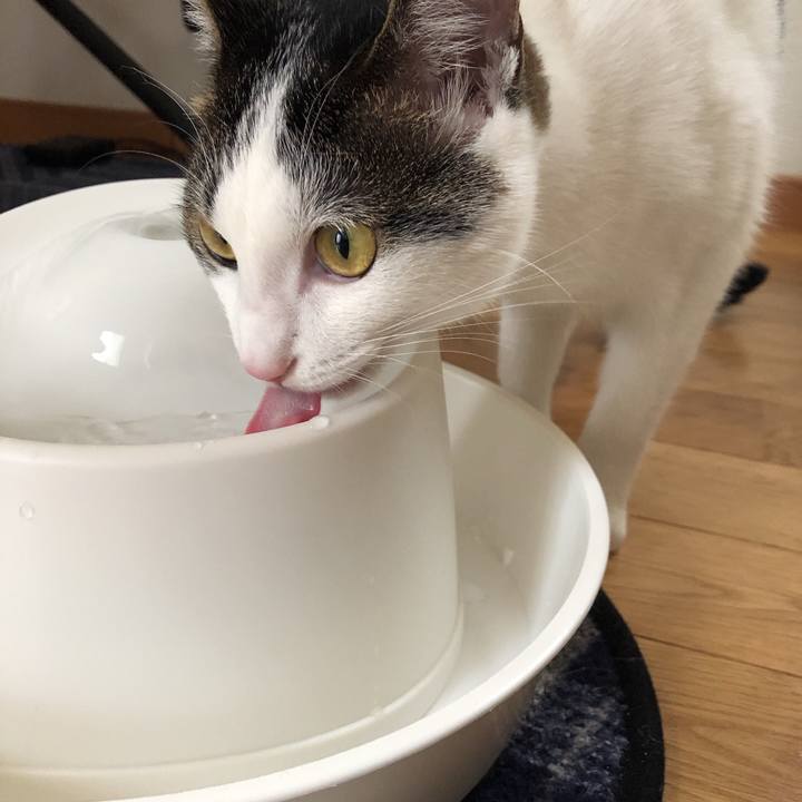 E6fa5b64 20e8 42df b9f8 490adbd8db3e 1595836317300