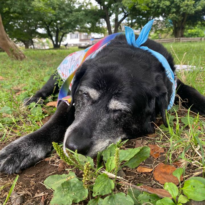 E6fa9177 6f25 4157 a5f8 b9576b996663 1719023313395