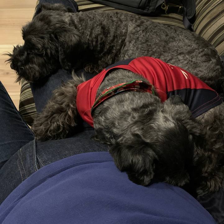 E6fabc86 d9bb 45a9 b69a 5c0094390616 1607762098812