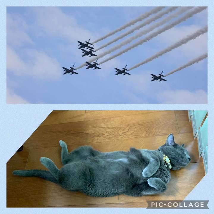 E6fabd5d ffbc 4e29 bc80 3562fe9bf646 1659845873625