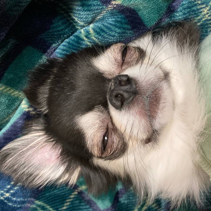 E6fad61e a001 4c43 a0f8 0e3cc494cecd 1647870314477