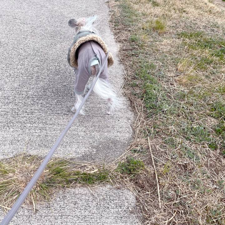 E6fb0e23 8062 4942 b52b f9632ed06b1c 1773385376775