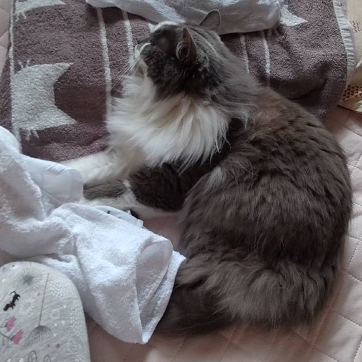 E6fb2c6b b29e 4bc4 afdd 50ec7c971815 1624232615997