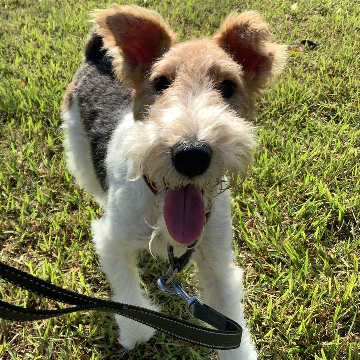 E6fb33a5 b5b5 4c86 ae8b d31fc0300683 1762163814539