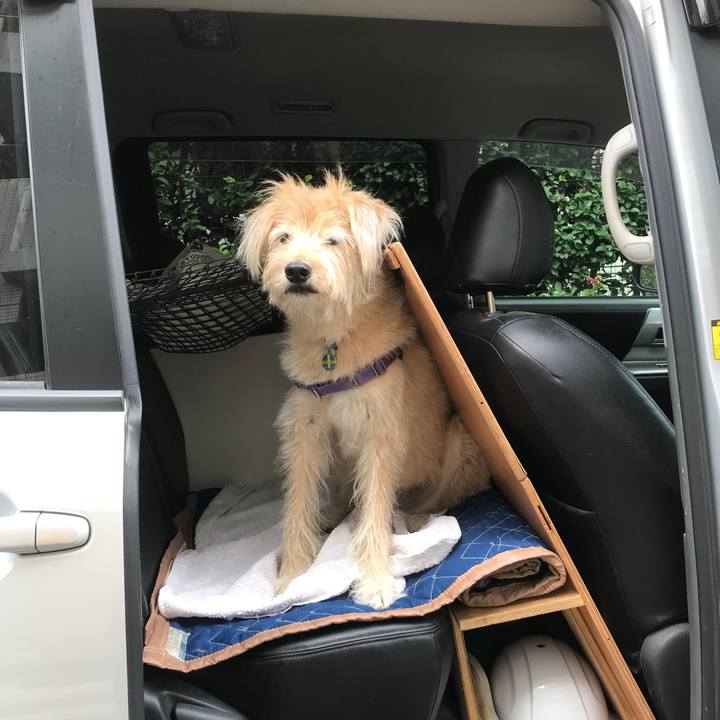 E6fb69db 7c38 4ef2 b97e cbdb9bd82dfc 1537235860605