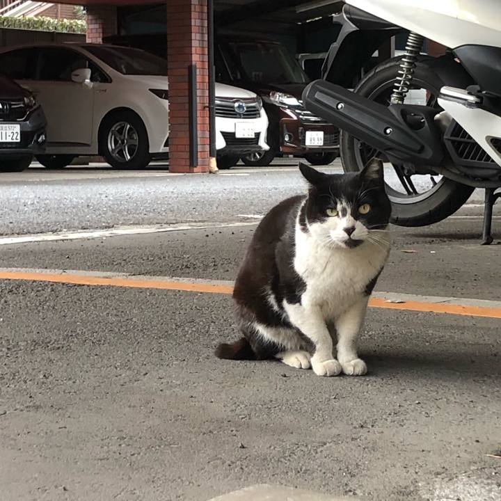 E6fb7bf8 482e 4dcf a8d3 16ce9672bc9e 1646733037620