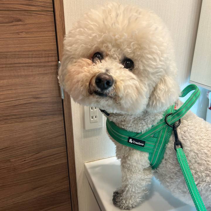 E6fbd10d 7421 4629 bcd7 bfa883fc6f15 1773374476460