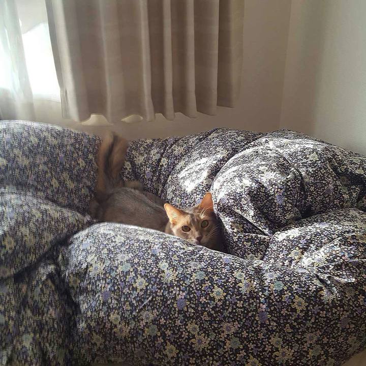 E6fc1f42 bc13 4ec9 974c d93fc8a8eed1 1545870112358