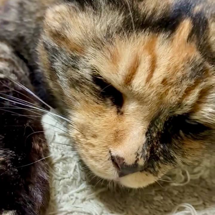 E6fc37d1 0221 4749 9074 7a40c06b8fe4 1751016693688