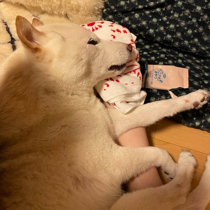 E6fc42a2 bbb8 4ed0 8b30 bd0211a5c2ae 1664125765655