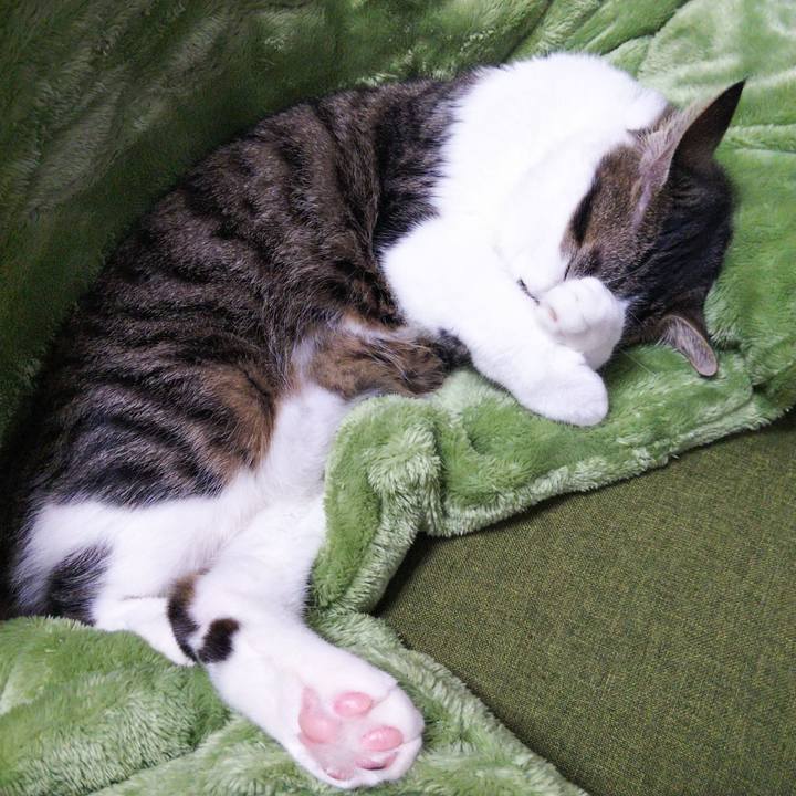 E6fc4864 e38d 4e6a 9153 00e4805f0d3c 1635662927226