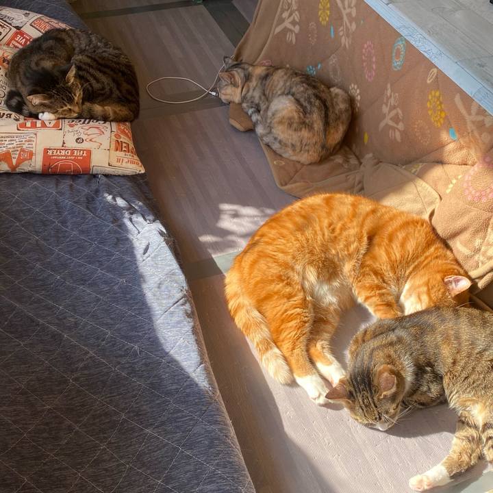 E6fc48f2 4fb6 4c85 8537 add07d5a9018 1644208130507