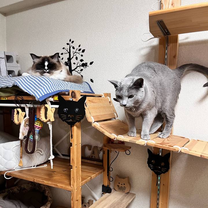 E6fc78d7 36b7 427e 889f 3ad6cc3db906 1676633038956