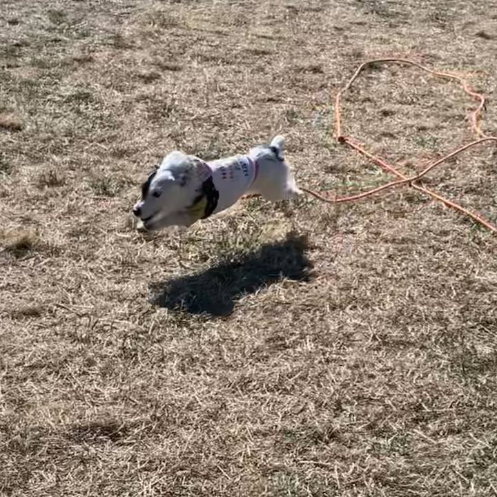 E6fc838b 1a62 43df 8b2a 54d063147ece 1677374553171