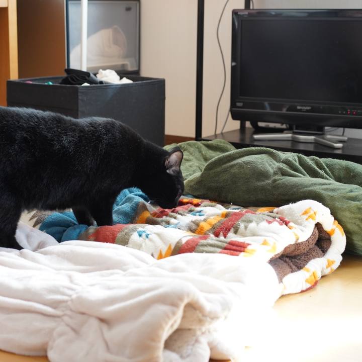 E6fc8ac1 4def 4495 8d41 6eda6e02a9d2 1572062283953