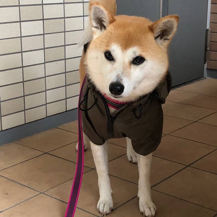 E6fcd1e5 74c0 4d84 b2a6 b0bb5cc3f8d9 1528279331434