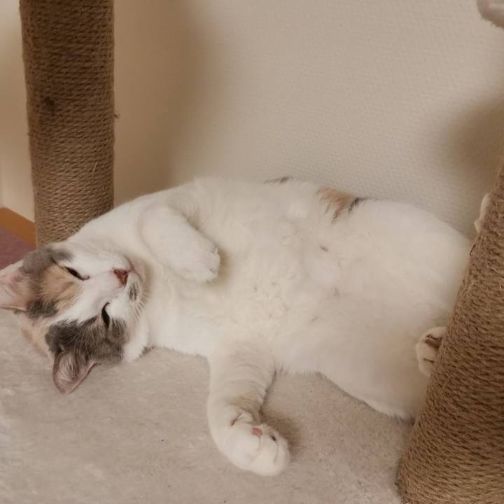 E6fd2b67 d137 467c bdd9 151f1128b536 1641271416155