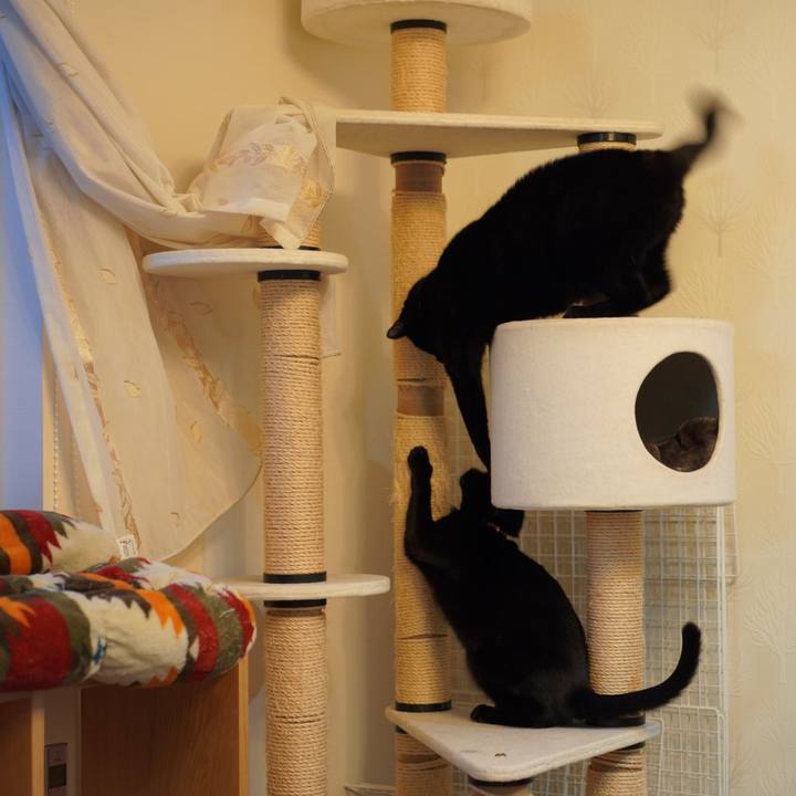 E6fd3148 a254 407e a82e 67d1686c8c50 1578322462399