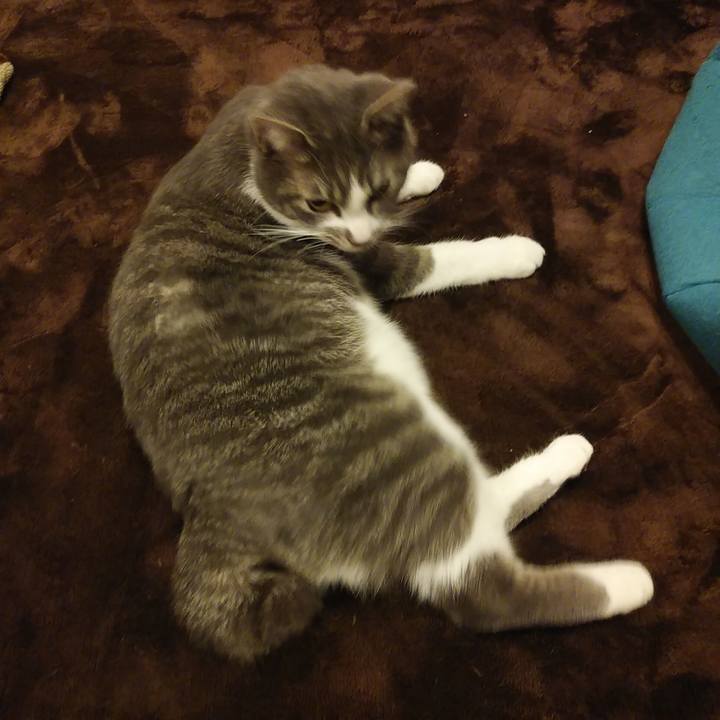 E6fd5ed3 1390 45cc aa86 ab011b5efccf 1579187878073