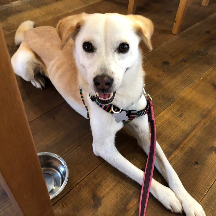 E6fd5fa1 847f 4ecb accc 36cff8580b22 1629554288494