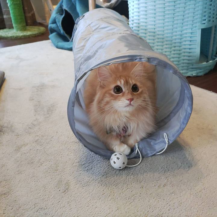 E6fda0da b030 46be 824c b4fee9697e1e 1659393203324