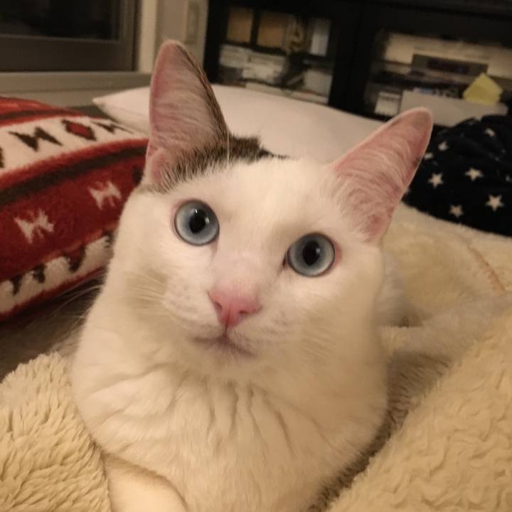 E6fda3b4 e4e5 4597 bee0 288893be1039 1543487793527