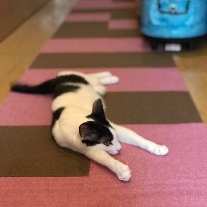 E6fdb46c 3a61 48ae 81d2 89ac4f3e4bda 1560223944895