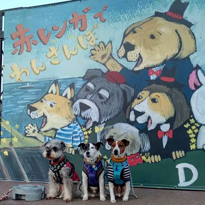 E6fdbb5f 18e2 4280 8b9f f376402cadc6 1679229318339