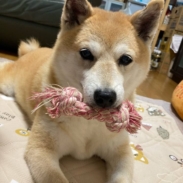 E6fe2228 f020 40fb bbfd 6356588466a1 1623501732662