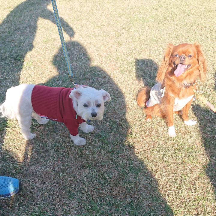 E6fe3af3 d052 4f32 8776 ae73b51022a9 1636793912777