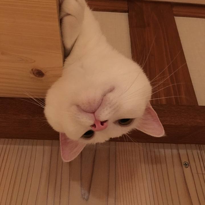 E6fe9527 04e2 4ddf b7b7 e74f1062e138 1530022314570