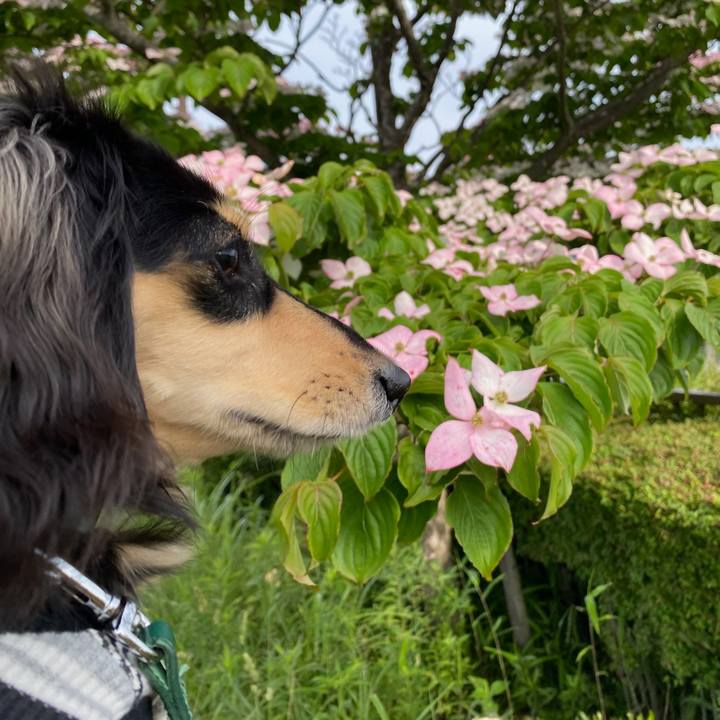 E6fe9775 df2d 4d67 9bad 5495d163e899 1685055453868