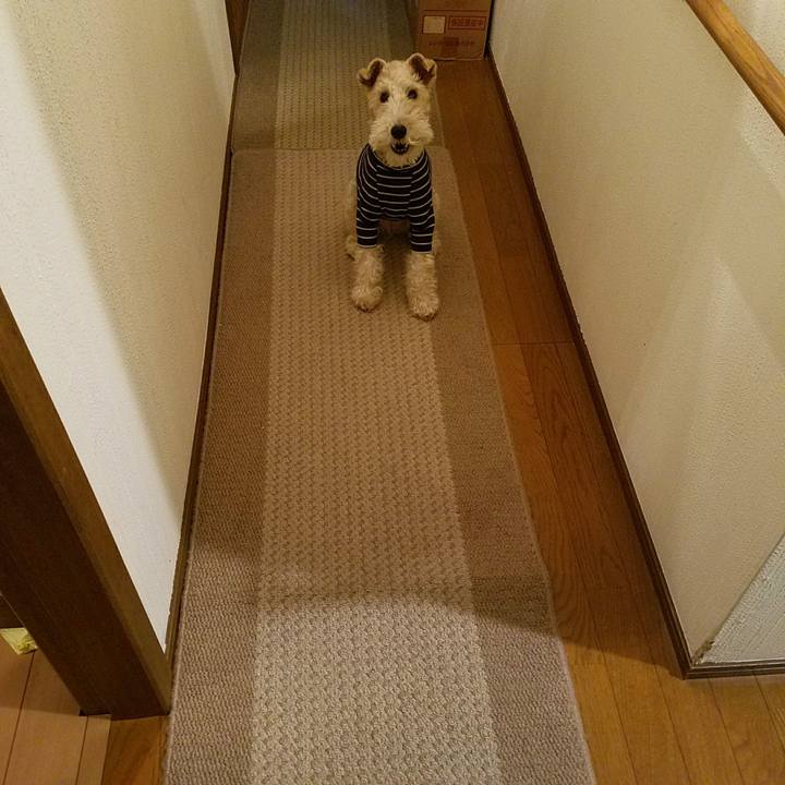 E6fea3f6 928c 4f3f a9f4 d79da9dc515c 1516020394931