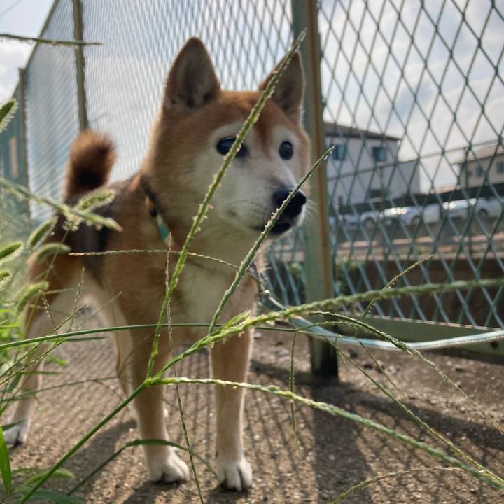 E6fec994 4d65 4323 8b90 dffef910e441 1751521664498