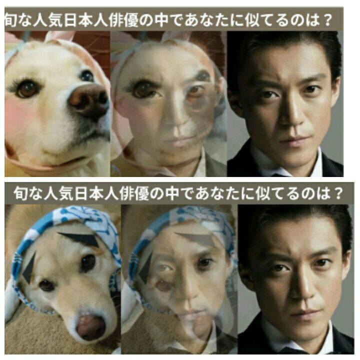 E6fefa95 5cd3 47eb 810c 5c72c83b5dc5 1528511434441