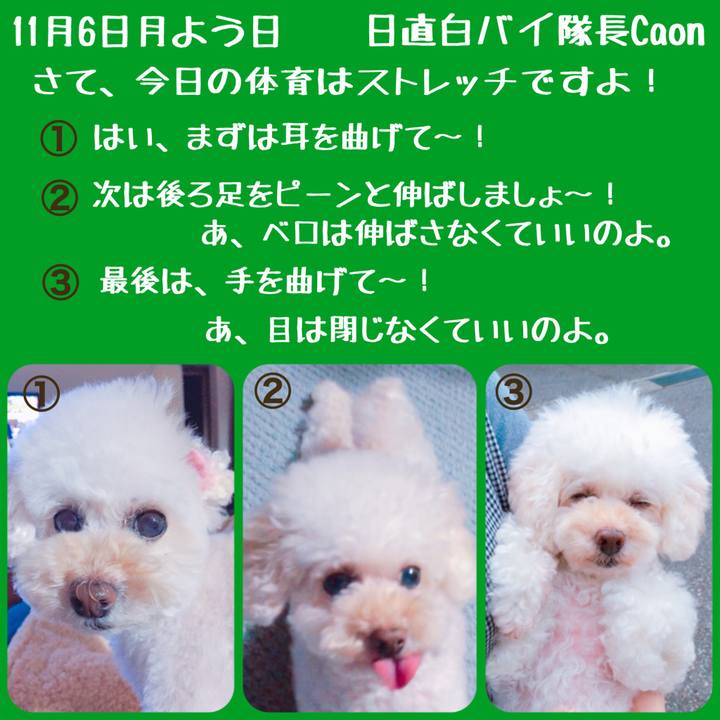 E6ff0df3 9898 4c7f 8d6f 6ffbed3954d5 1509940995865