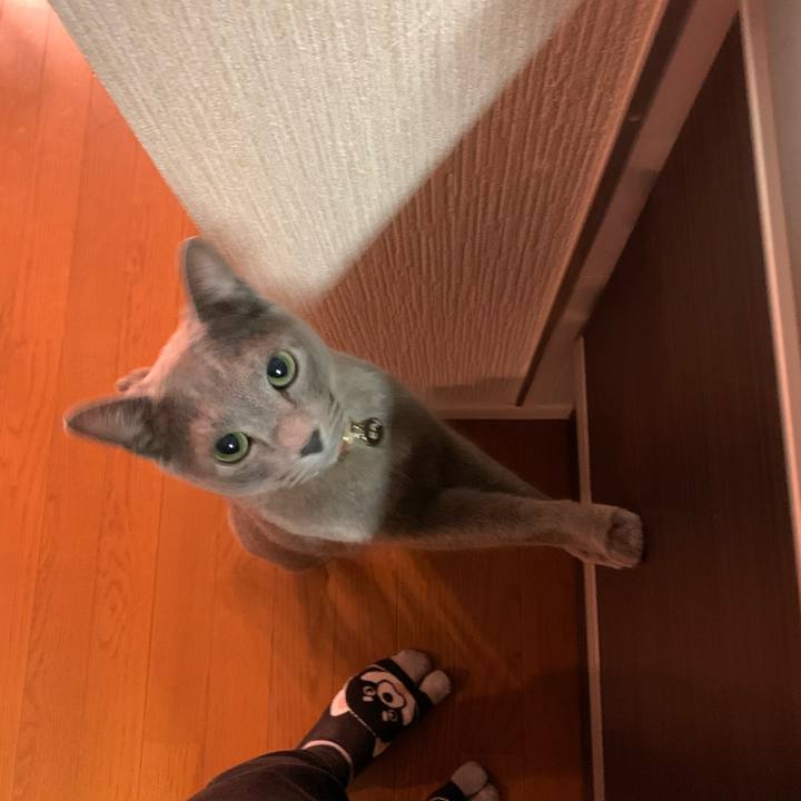 E6ff10e3 1f8b 4e11 81ee 683747a9b29e 1644921447372