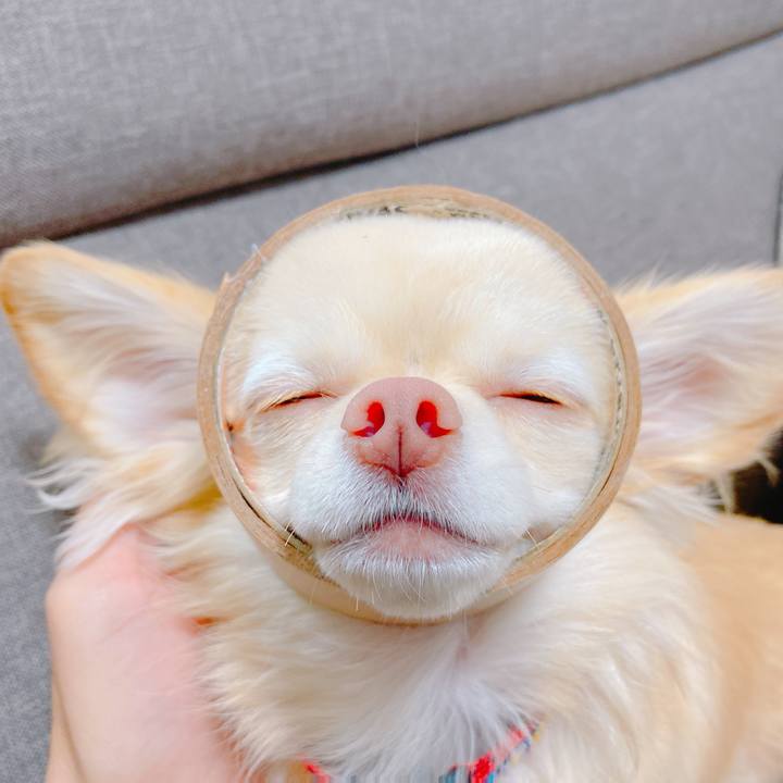 E6ff48c0 7da6 4b0e a884 a5b830d2859c 1637416516338