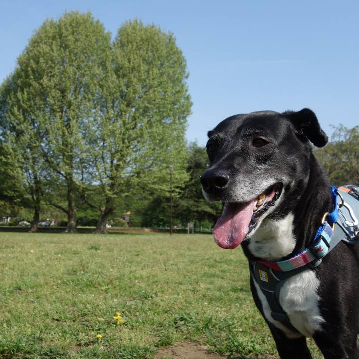 E6ff6a47 27ed 4d01 8376 abd92cea1c39 1745283185725