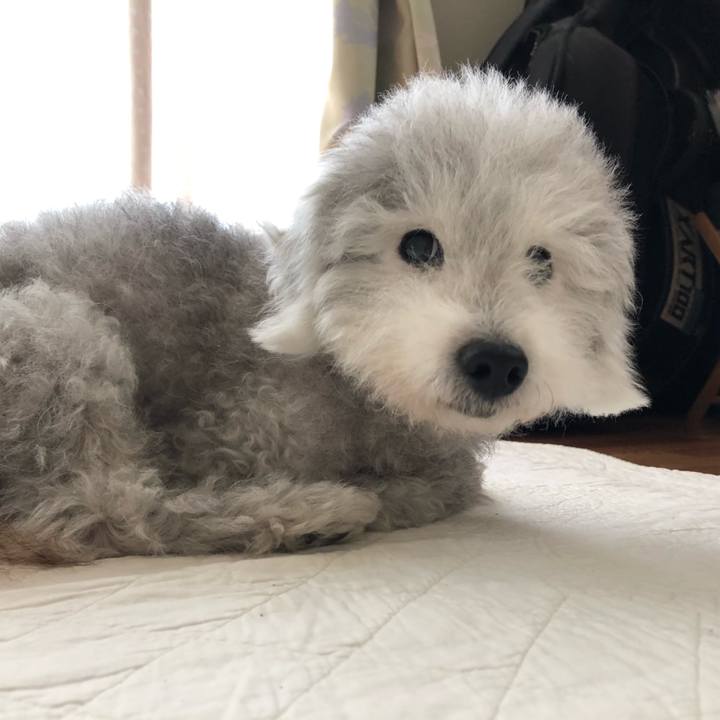 E6ff78ba 4c9a 46fa b059 a88375874b75 1595202707717