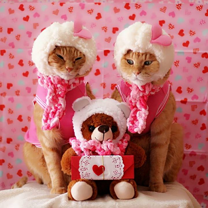 E6ffa46e e4c6 4154 a4ae cc0eb43ef24d 1518613713028