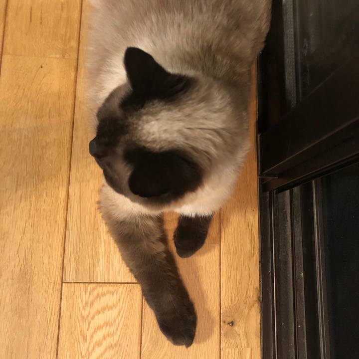 E6fffff9 57b4 4d32 bf98 357bae892d3b 1624018223994